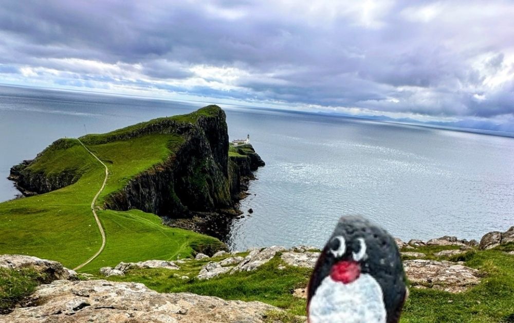 Hand-painted penguin stone #430 hidden at Neist Point, Cliff Lighthouse Viewpoint, United Kingdom (photo 1 of 5)