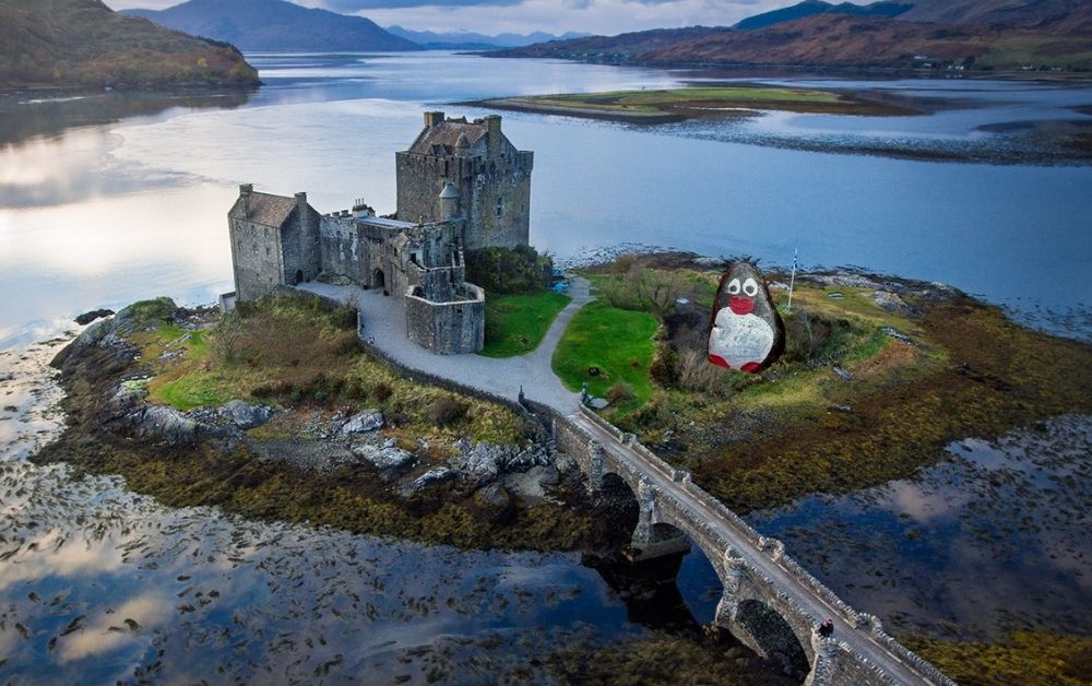 Hand-painted penguin stone #446 hidden at Eilen Donan Lookout, Dornie, United Kingdom (photo 1 of 5)