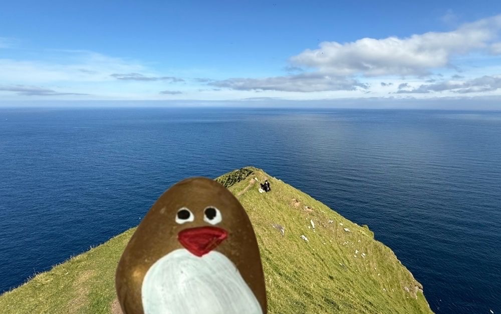 Hand-painted penguin stone #504 hidden at Cliff, Gjogv, Faroe Islands (photo 1 of 5)