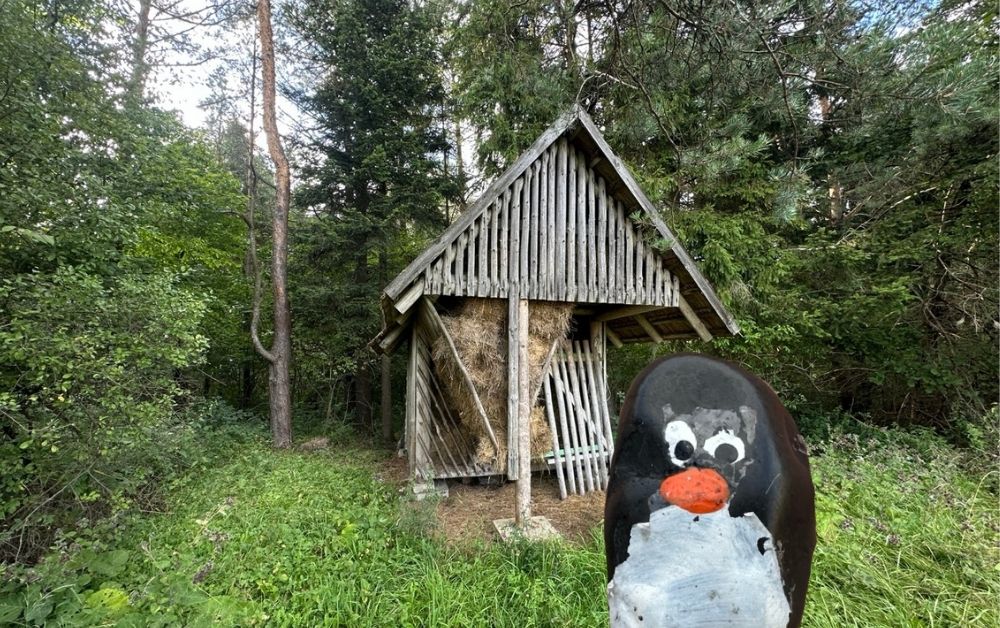 Hand-painted penguin stone #529 hidden at Deer Feeder, Chmelnica, Slovakia (photo 1 of 5)