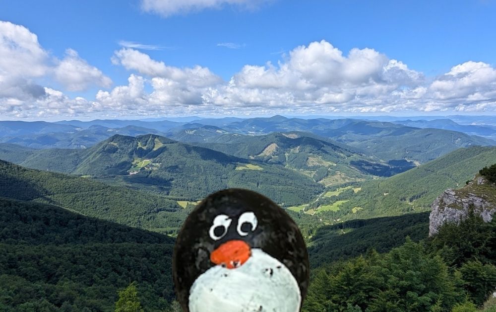Hand-painted penguin stone #535 hidden at Tourist Route, Klak, Slovakia (photo 1 of 5)