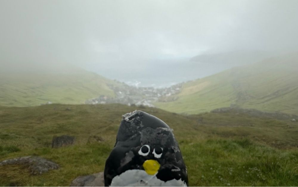 Hand-painted penguin stone #539 hidden at Viewpoint over Kvivik, Kvivik, Faroe Islands (photo 1 of 5)
