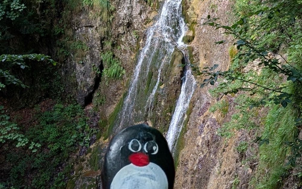 Hand-painted penguin stone #556 hidden at Klak Waterfall, Klak, Slovakia (photo 1 of 5)