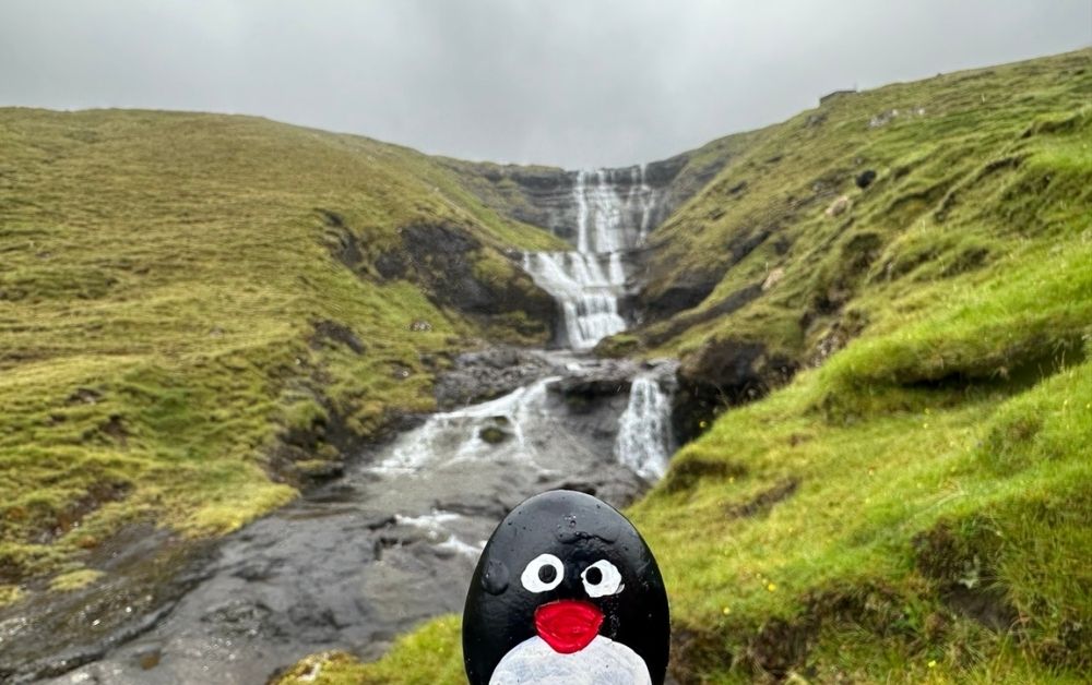 Hand-painted penguin stone #557 hidden at Waterfall, Hosvik, Faroe Islands (photo 1 of 5)