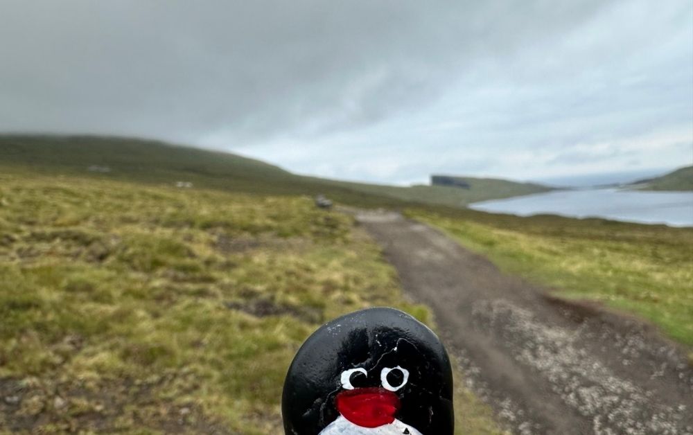 Hand-painted penguin stone #569 hidden at Random rock, Midvagur, Faroe Islands (photo 1 of 5)