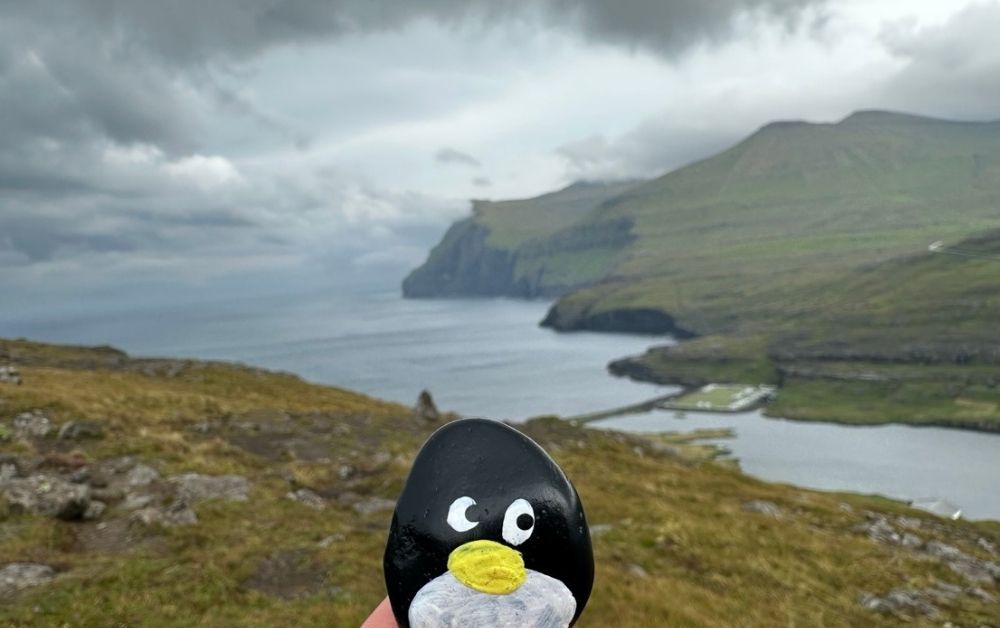 Hand-painted penguin stone #599 hidden at Eidi Viewpoint, Eidiskollur, Faroe Islands (photo 1 of 5)