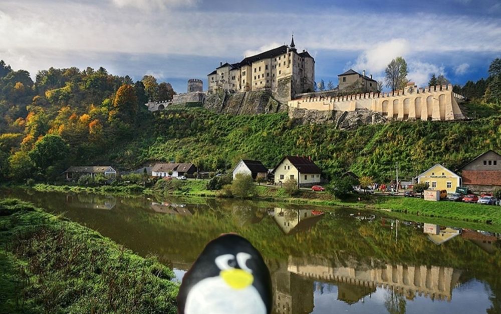 Hand-painted penguin stone #601 hidden at Kaplicka svateho Prokopa, Cesky Sternberk, Czechia (photo 1 of 5)