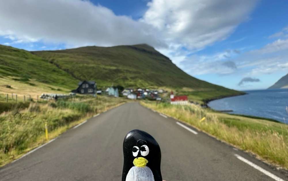 Hand-painted penguin stone #614 hidden at Bench, Husar, Faroe Islands (photo 1 of 5)