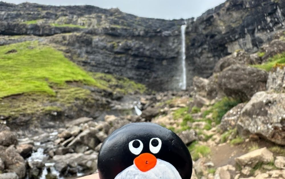 Hand-painted penguin stone #617 hidden at Fossa Waterfall, Streymoy Island, Faroe Islands (photo 1 of 5)