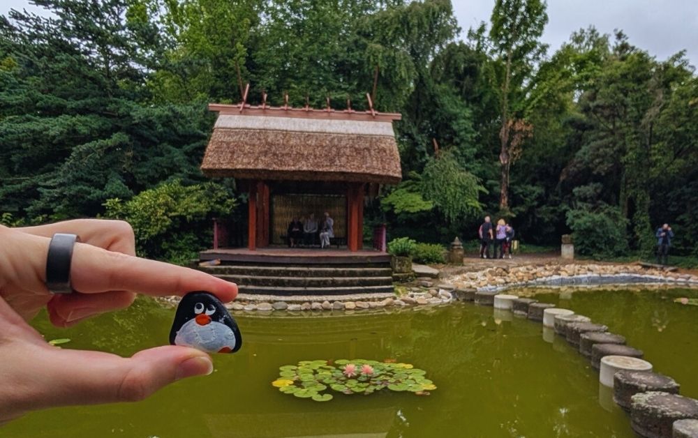 Hand-painted penguin stone #632 hidden at Arboretum Mlynany SAV, Vieska nad Zitavou, Slovakia (photo 1 of 5)