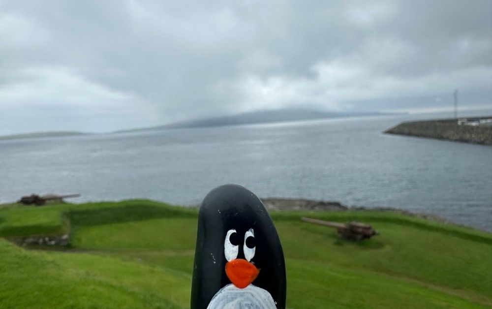 Hand-painted penguin stone #639 hidden at Skansin, Torshavn, Faroe Islands (photo 1 of 5)