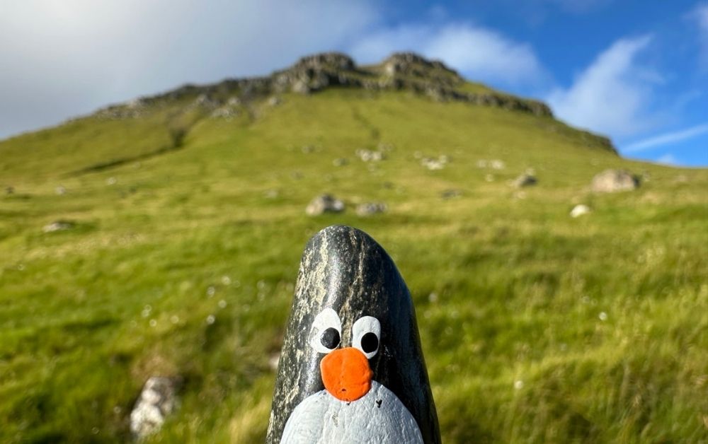 Hand-painted penguin stone #738 hidden at Rock, Trollanes, Faroe Islands (photo 1 of 5)