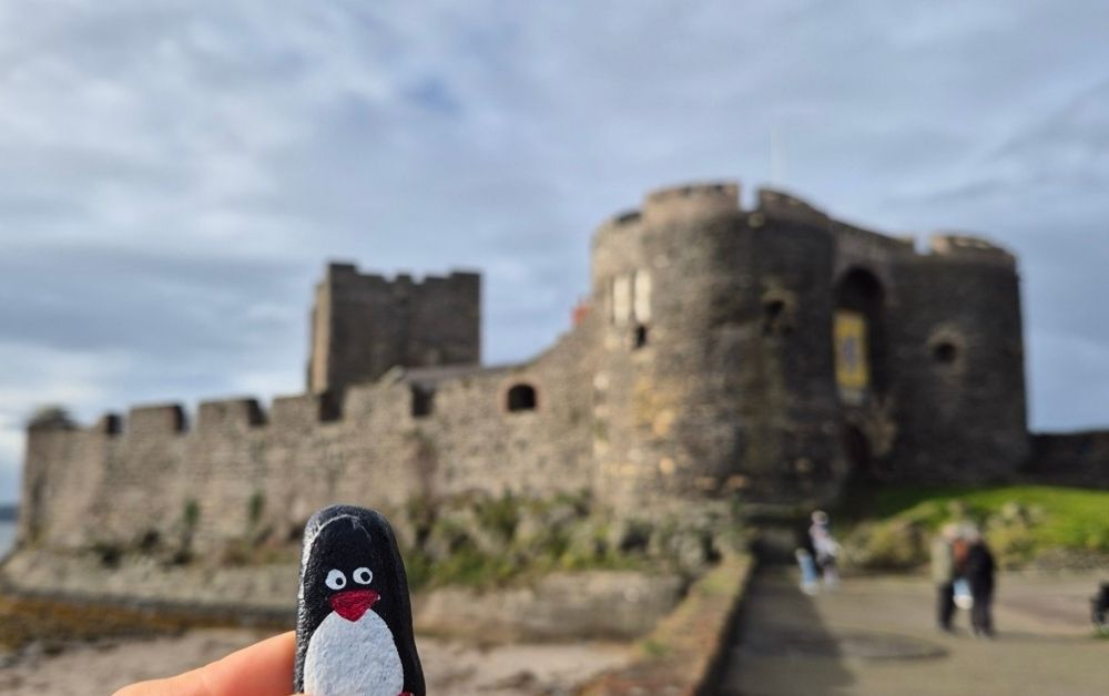 Hand-painted penguin stone #220 hidden at Carrickfergus Castle, Carrickfergus, United Kingdom (photo 1 of 5)