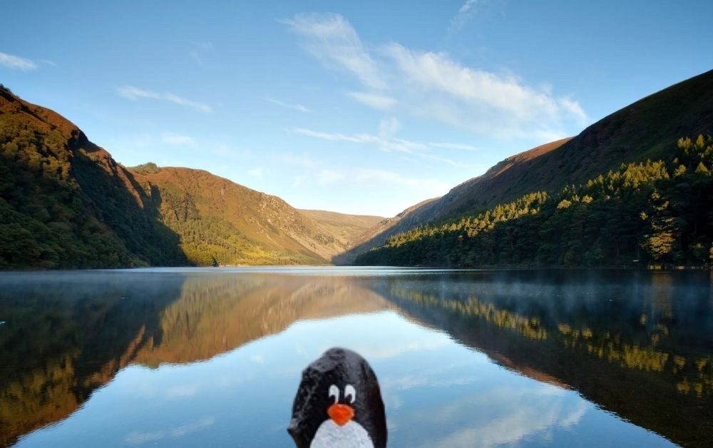 Hand-painted penguin stone #222 hidden at Glendalough, Knockfadda, Ireland (photo 1 of 5)