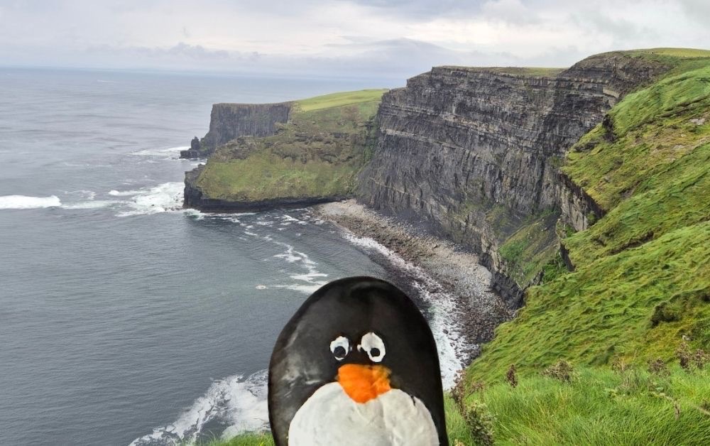 Hand-painted penguin stone #229 hidden at Cliffs of Moher, Lislorkan North, Ireland (photo 1 of 5)