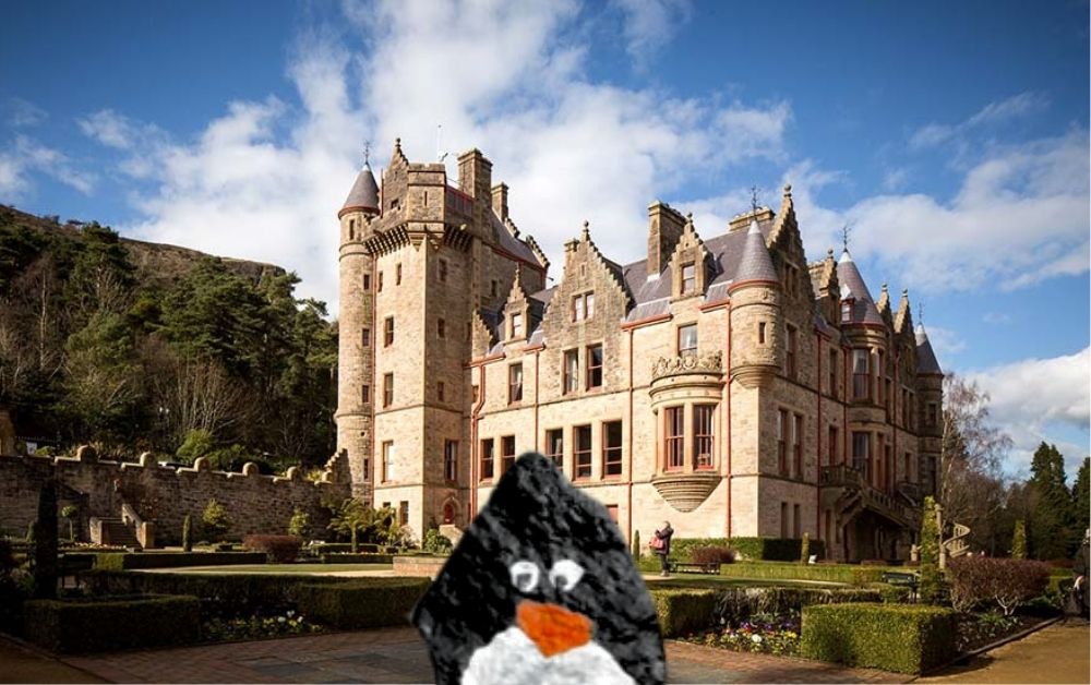 Hand-painted penguin stone #254 hidden at Belfast Castle, Belfast, United Kingdom (photo 1 of 5)