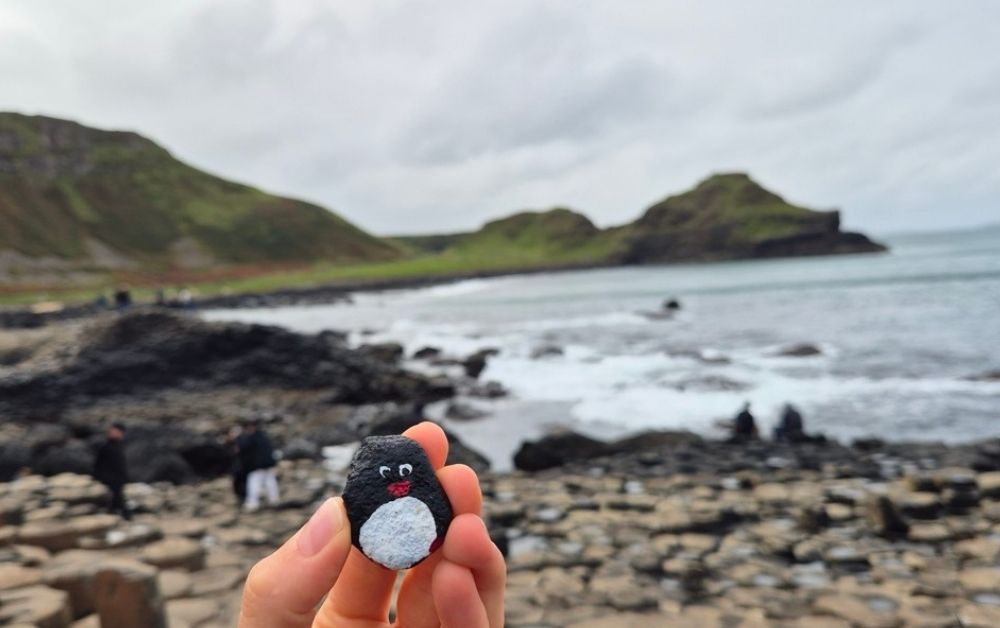 Hand-painted penguin stone #318 hidden at Giant's Causeway, County Antrim, United Kingdom (photo 1 of 5)