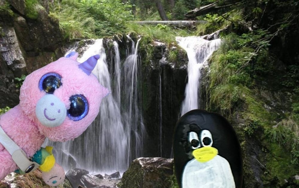 Hand-painted penguin stone #563 hidden at Waterfall, Karlova Studanka, Czechia (photo 1 of 5)