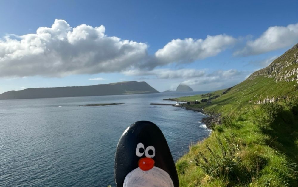 Hand-painted penguin stone #643 hidden at Rock on trail, Kirkjubour, Faroe Islands (photo 1 of 5)