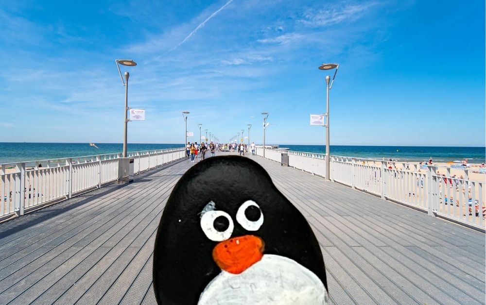 Ručne maľovaný tučniakový kameň č. 654 ukrytý na mieste Molo w Kołobrzegu, Kołobrzeg, Poľsko (fotka 1 z 5)