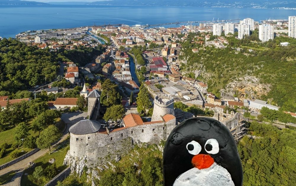Hand-painted penguin stone #662 hidden at Trsat Castle, Rijeka, Croatia (photo 1 of 5)