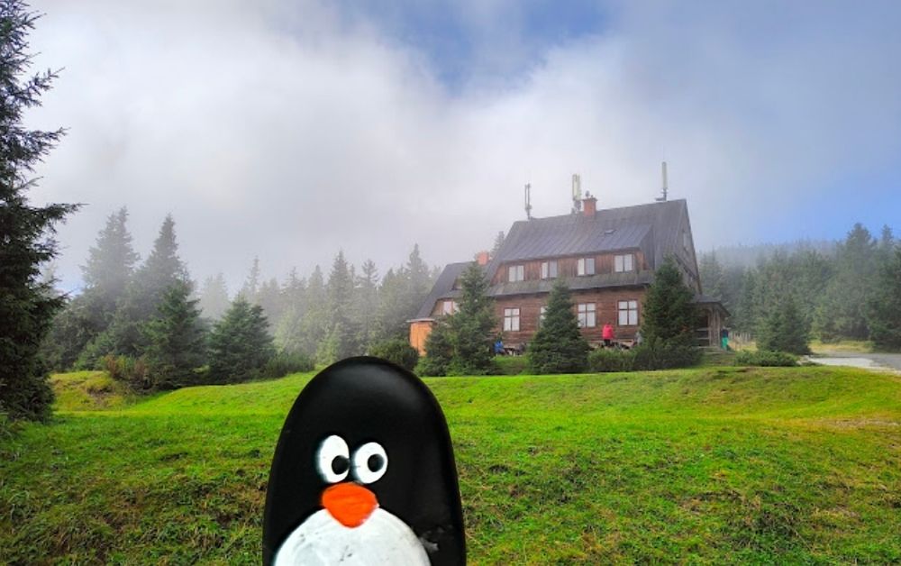 Hand-painted penguin stone #664 hidden at Czech-Polish Border, Mala Upa-Pec pod Snezkou, Czechia (photo 1 of 5)