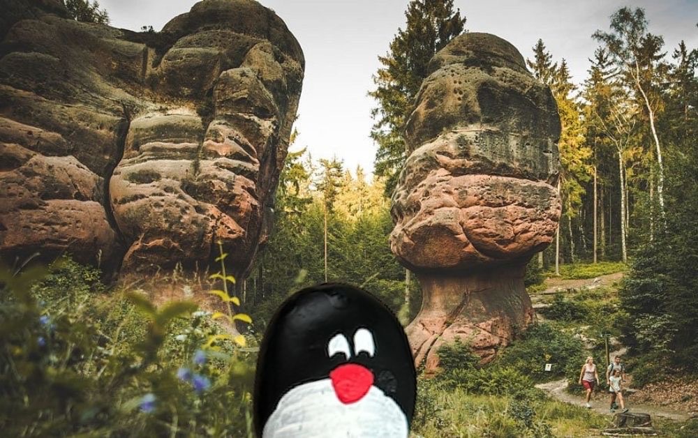 Hand-painted penguin stone #679 hidden at Chalice Rocks, Oybin, Germany (photo 1 of 5)