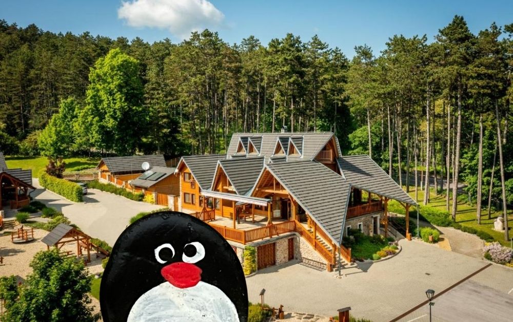 Hand-painted penguin stone #708 hidden at Salas Viglas, Near Bojnice, Slovakia (photo 1 of 5)