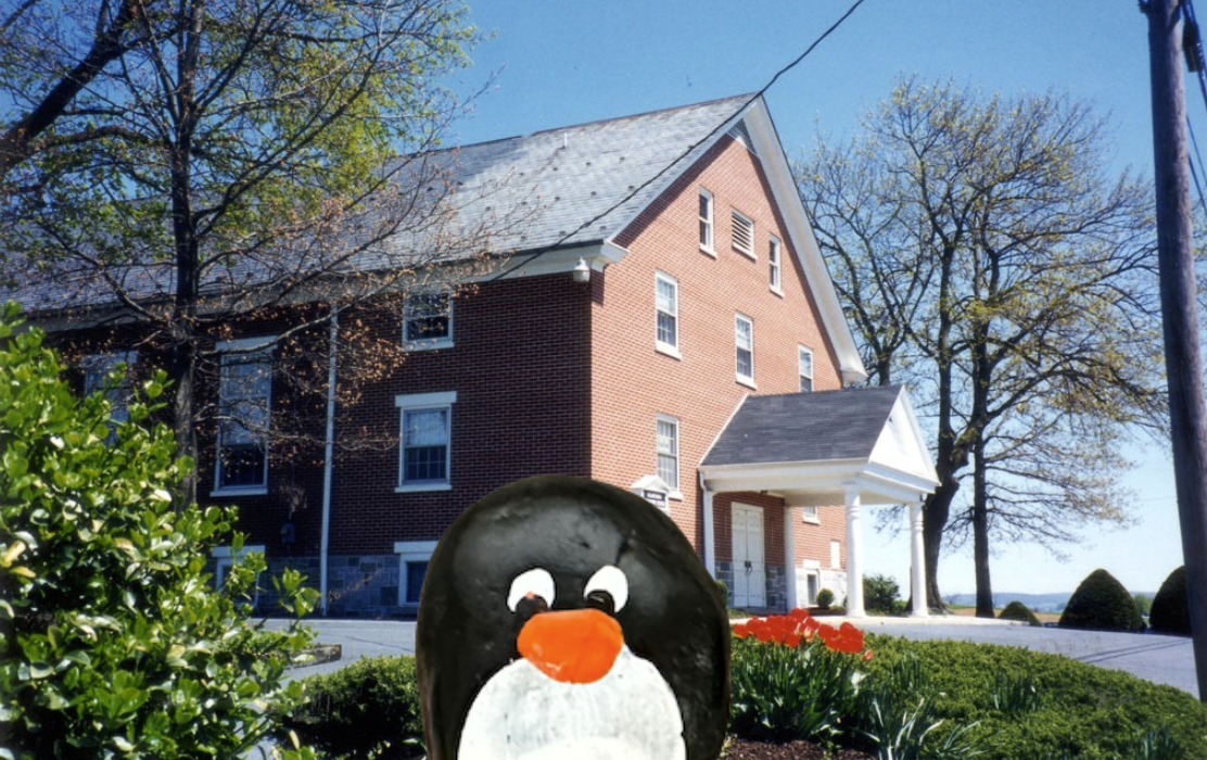 Hand-painted penguin stone #627 hidden at Stumptown Mennonite Church, Amish County, United States (photo 1 of 5)