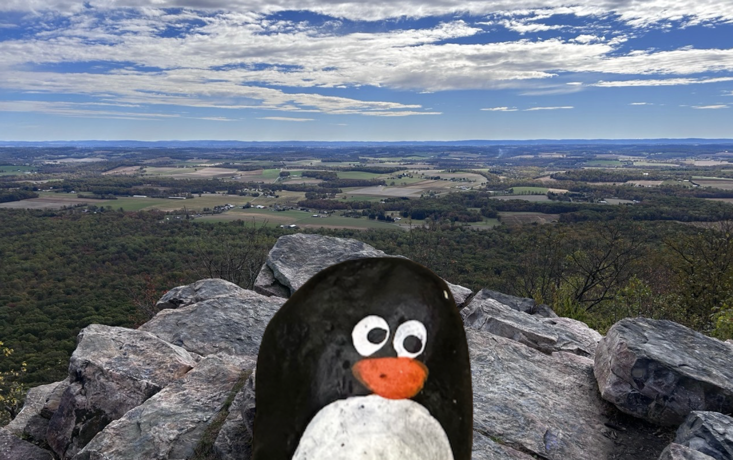 Hand-painted penguin stone #659 hidden at Bale Oven Knob Viewpoint, Pennsylvania, United States (photo 1 of 5)