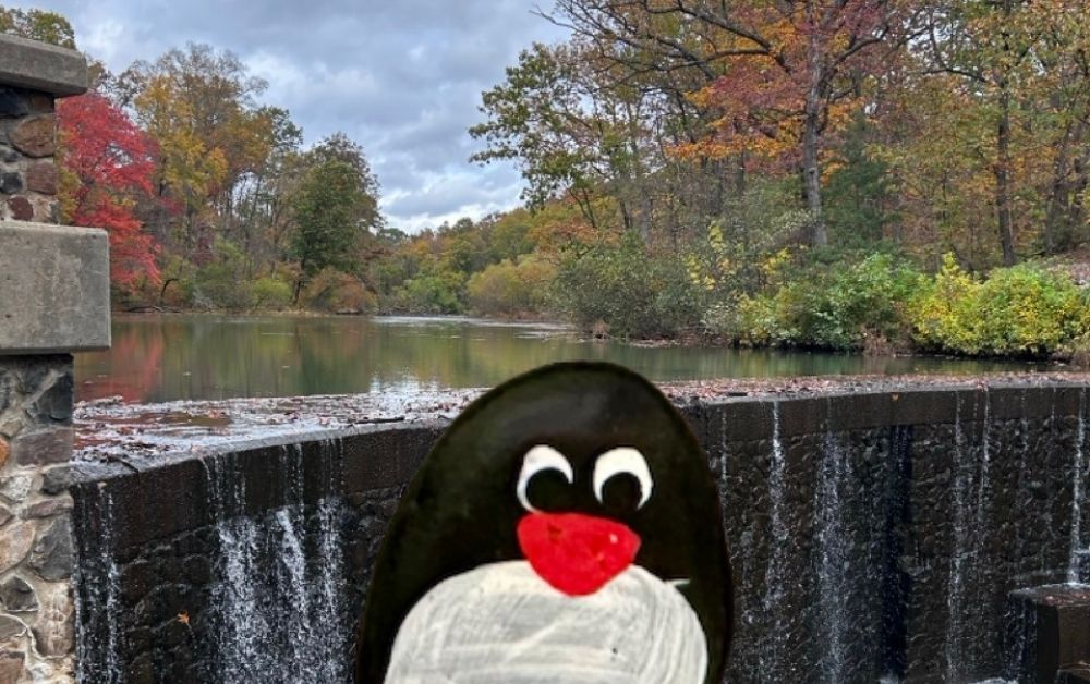 Hand-painted penguin stone #680 hidden at Seeley's Waterfall, New Jersey, United States (photo 1 of 5)
