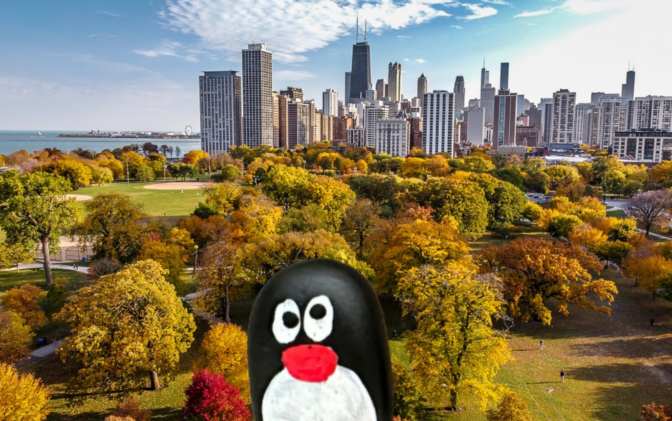 Hand-painted penguin stone #696 hidden at Chicago Riverwalk, Illinois, United States (photo 1 of 5)