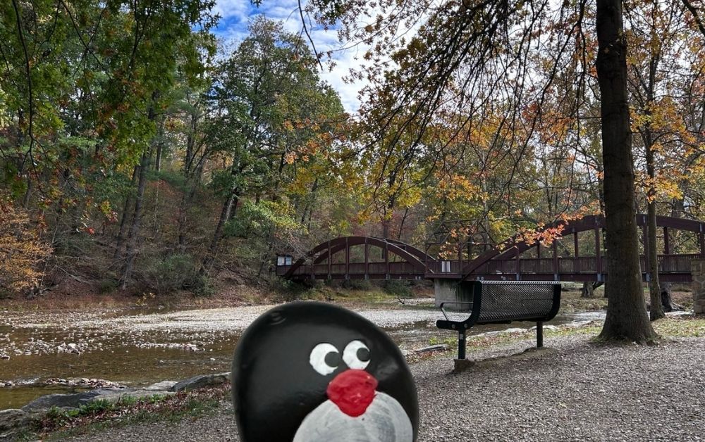 Hand-painted penguin stone #698 hidden at Jordan Creek, Trexler Nature Preserve, United States (photo 1 of 5)