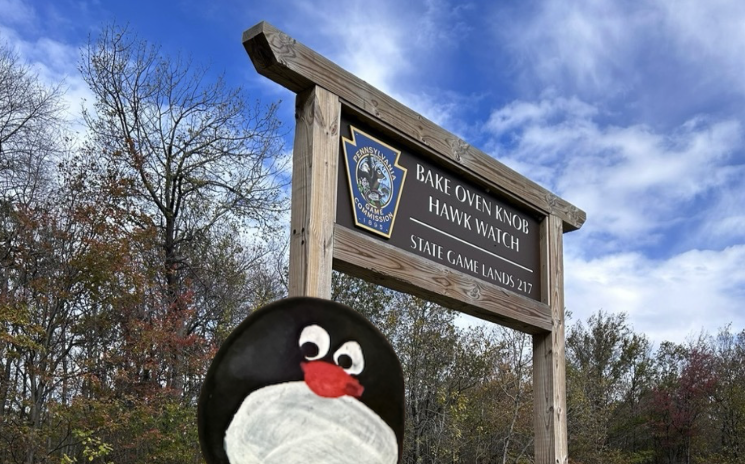 Hand-painted penguin stone #699 hidden at Bale Oven Knob, Pennsylvania, United States (photo 1 of 5)