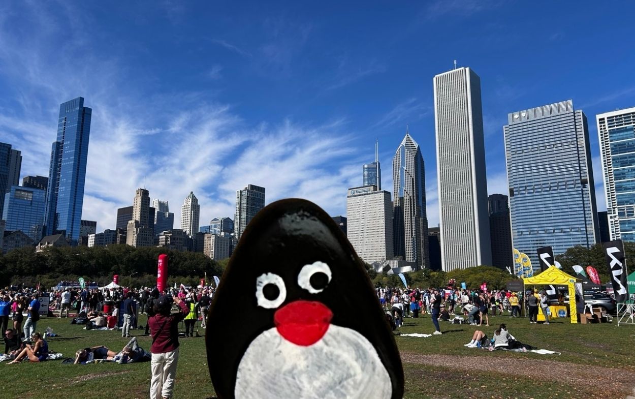 Hand-painted penguin stone #702 hidden at Butler Field, Chicago Illinois, United States (photo 1 of 5)