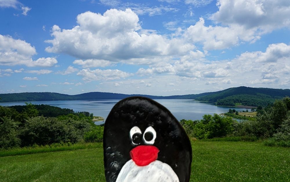 Hand-painted penguin stone #709 hidden at Round Valley Reservoir, New Jersey, United States (photo 1 of 5)