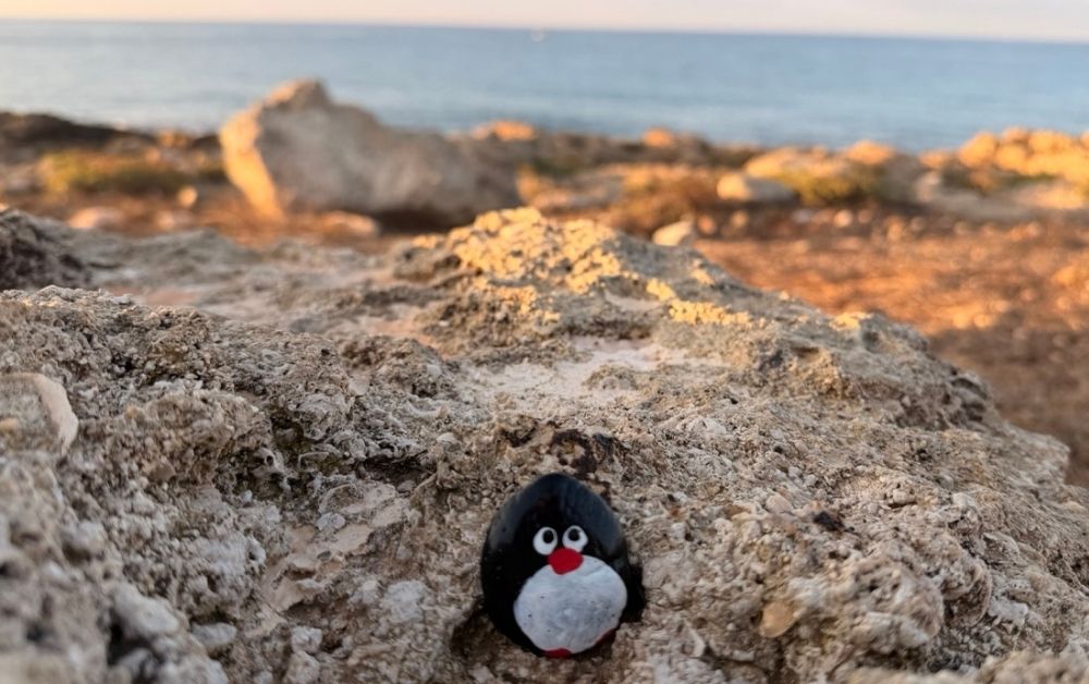 Hand-painted penguin stone #714 hidden at Seaside, Paphos, Cyprus (photo 1 of 5)