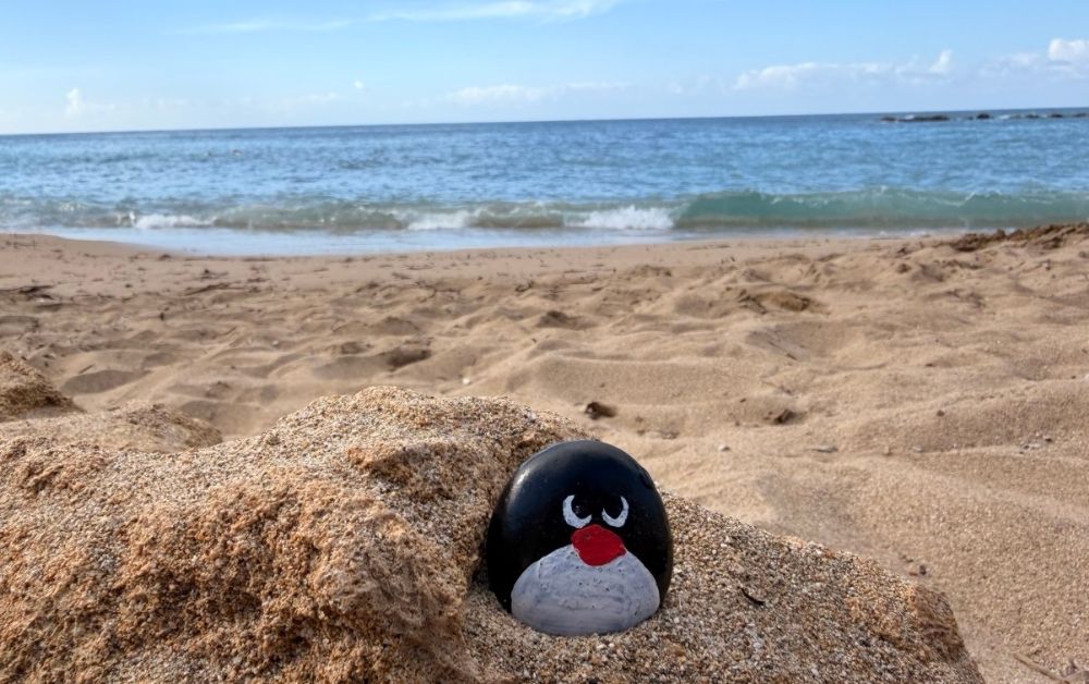 Hand-painted penguin stone #715 hidden at SODAP Beach, Paphos, Cyprus (photo 1 of 5)