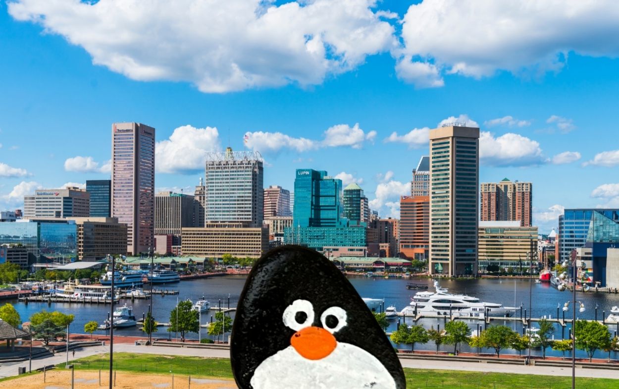 Hand-painted penguin stone #730 hidden at East Mount Vernon Place, Baltimore, United States (photo 1 of 5)