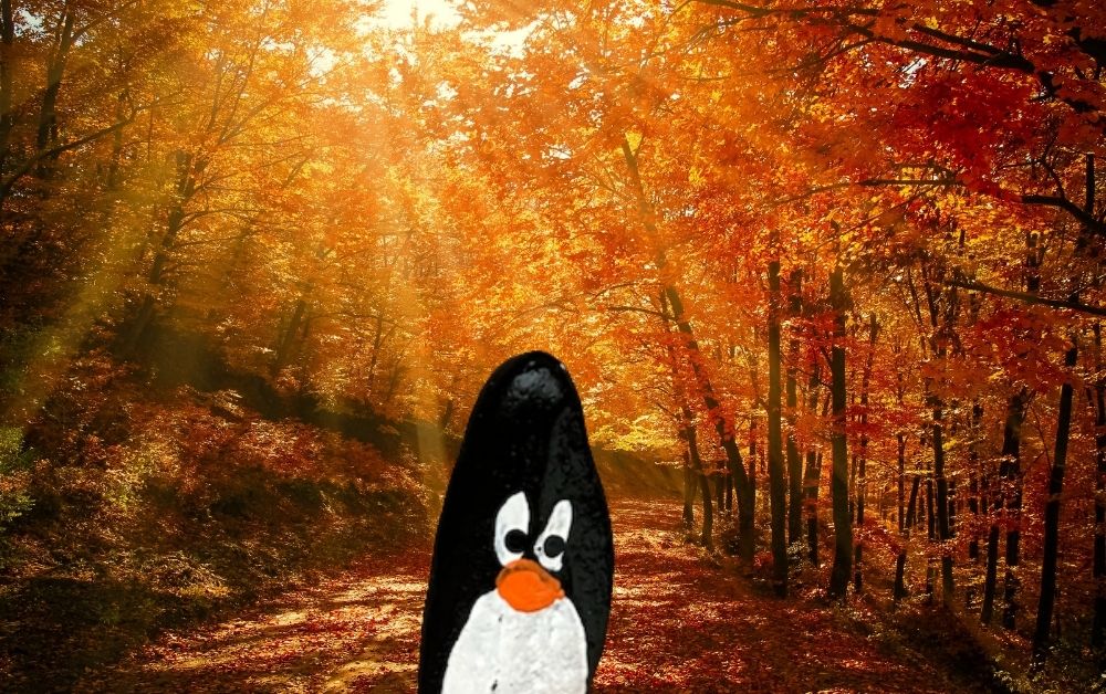Hand-painted penguin stone #732 hidden at Watchung Reservation, New Jersey, United States (photo 1 of 5)
