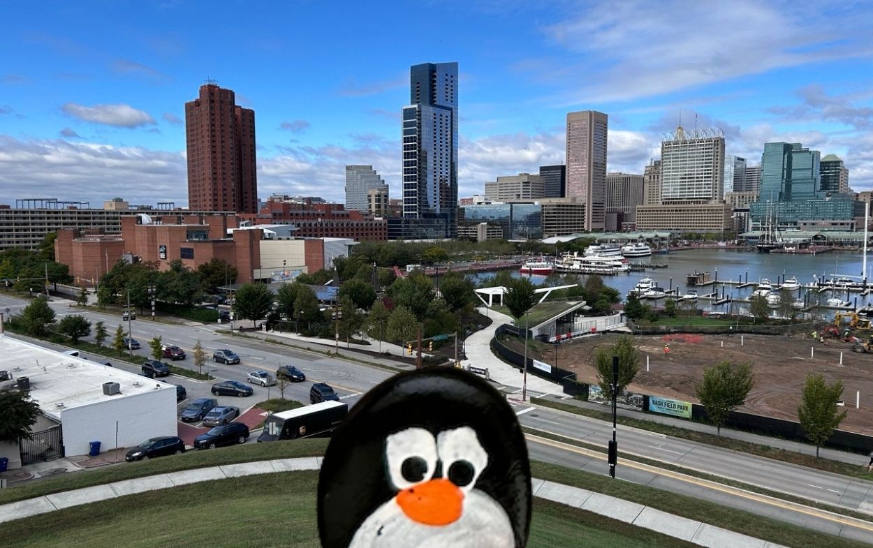 Hand-painted penguin stone #739 hidden at Federal Hill Park, Baltimore, United States (photo 1 of 5)