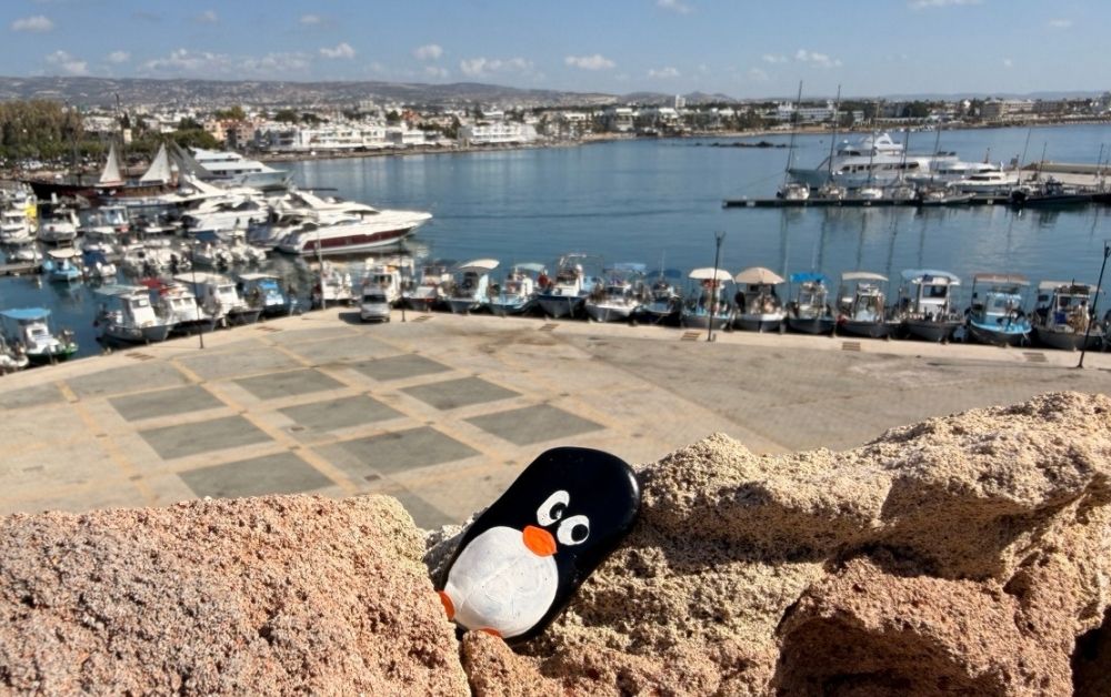 Hand-painted penguin stone #740 hidden at Inside Pafos Castle, Paphos, Cyprus (photo 1 of 5)