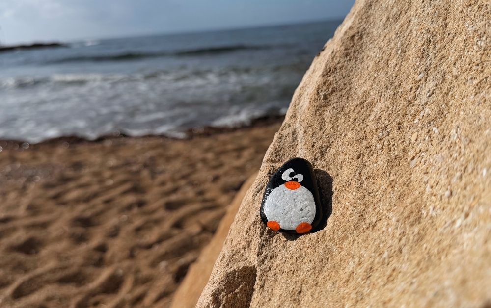 Hand-painted penguin stone #761 hidden at Louis Ledra Beach, Paphos, Cyprus (photo 1 of 5)