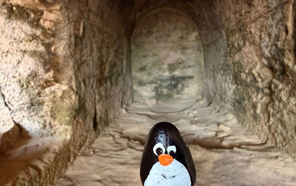 Hand-painted penguin stone #763 hidden at Toumpallos, Paphos, Cyprus (photo 1 of 5)