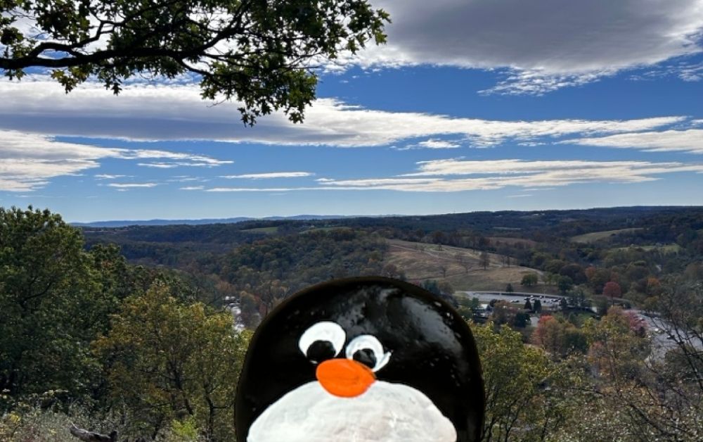Hand-painted penguin stone #789 hidden at Elk Ridge Trail, Trexler Nature Preserve, United States (photo 1 of 5)