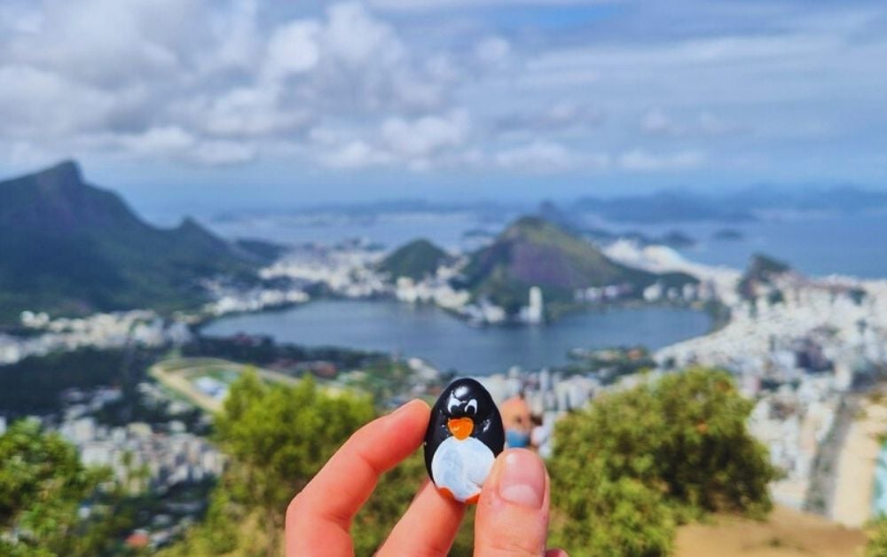 Hand-painted penguin stone #336 hidden at Morro dos Irmaos, Rio de Janeiro, Brazil (photo 1 of 5)