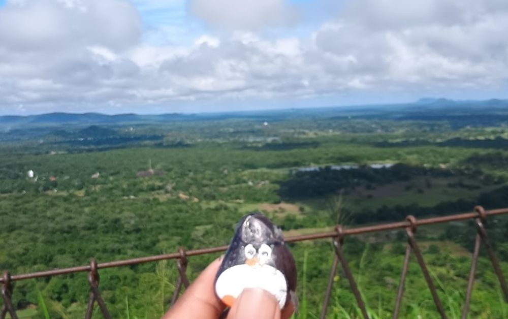 Ručne maľovaný tučniakový kameň č. 481 ukrytý na mieste Rock Fortress, Sigiriya, Srí Lanka (fotka 1 z 5)