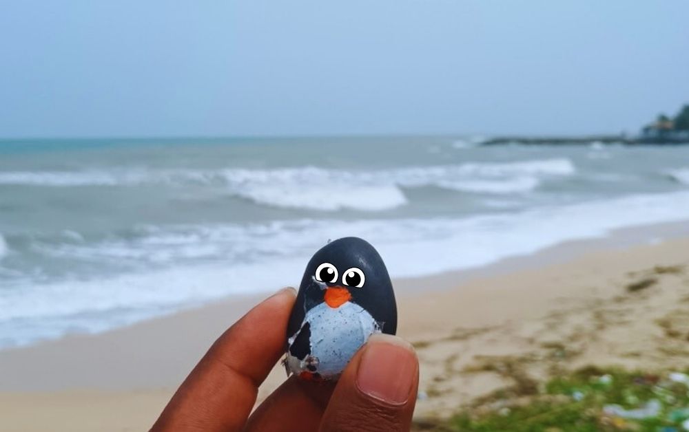 Hand-painted penguin stone #490 hidden at Portuguese Fort, Kankesanthurai, Sri Lanka (photo 1 of 5)