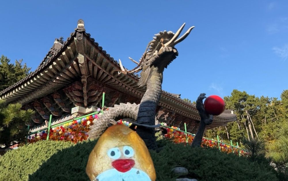 Hand-painted penguin stone #509 hidden at Stone Dragon at Haedong Yonggungsa Temple, Busan, South Korea (photo 1 of 5)