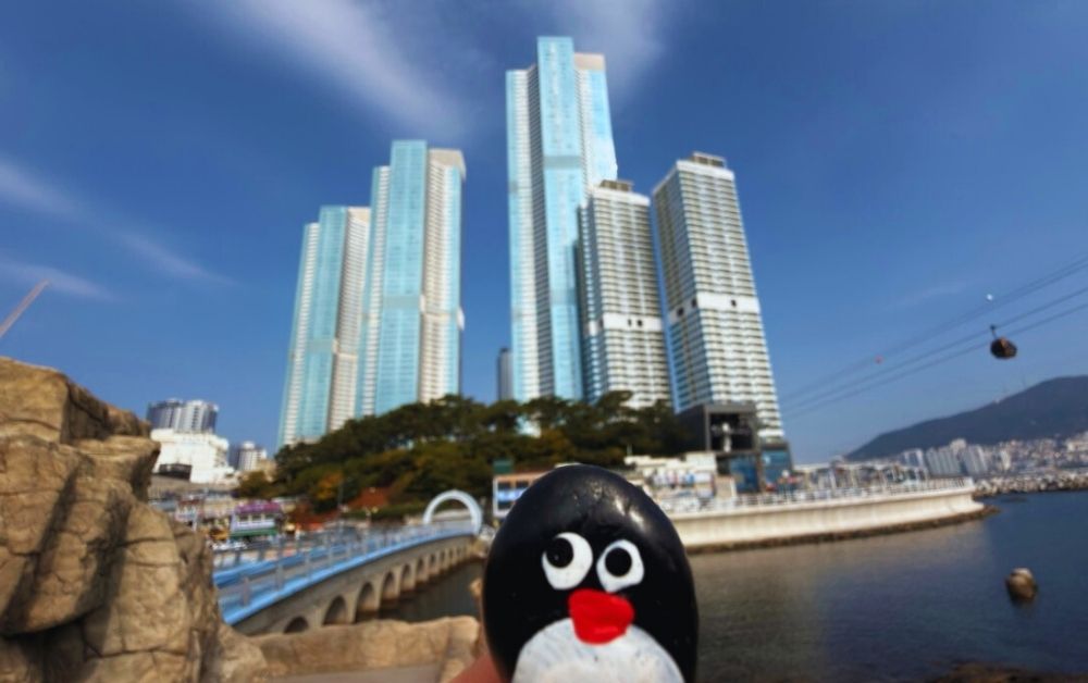 Hand-painted penguin stone #713 hidden at Turtle Island, Busan, South Korea (photo 1 of 5)